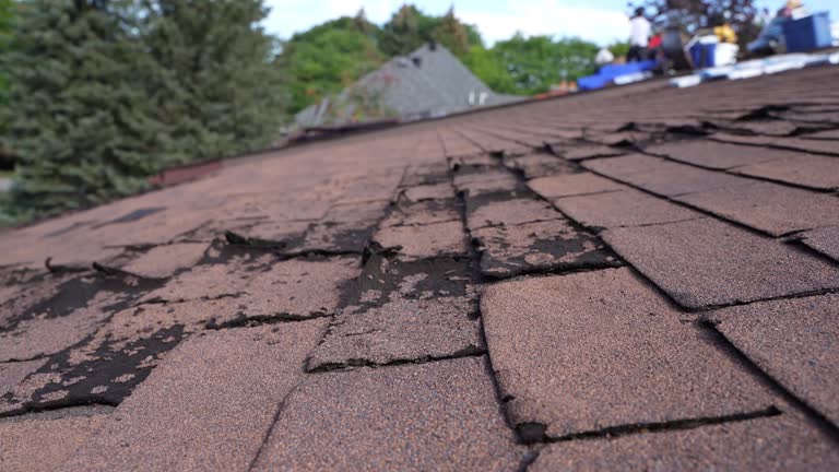 Emergency Roof Repair in Emeryville, CA