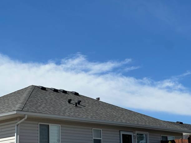  Emeryville, CA Roofing Service Pros